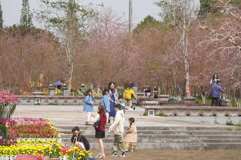 Khu du lịch sinh thái Măng Đen đón gần 700.000 lượt du khách