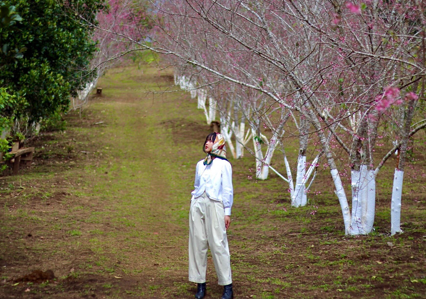 Du khách chụp hình bên vườn hoa. Ảnh Y Trang